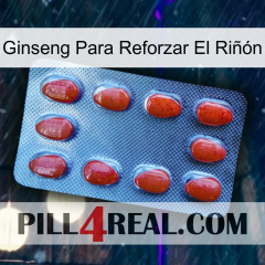 Ginseng Para Reforzar El Riñón 06